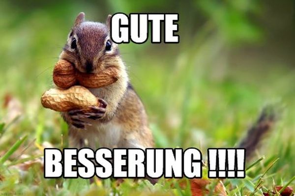 Meme-für-gute-Besserung-