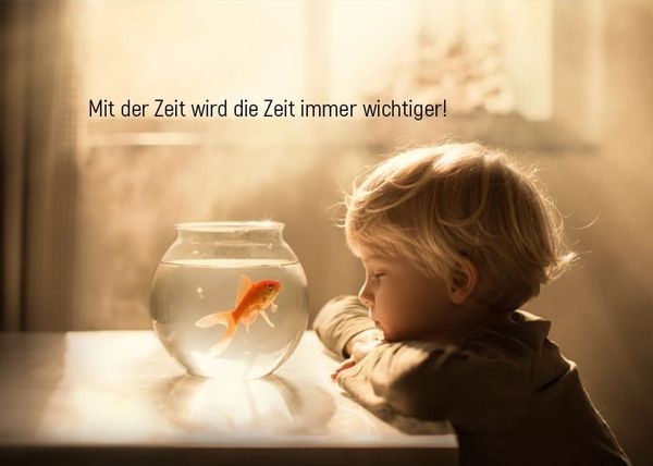 Schne Lebensweisheiten in Bildern 6