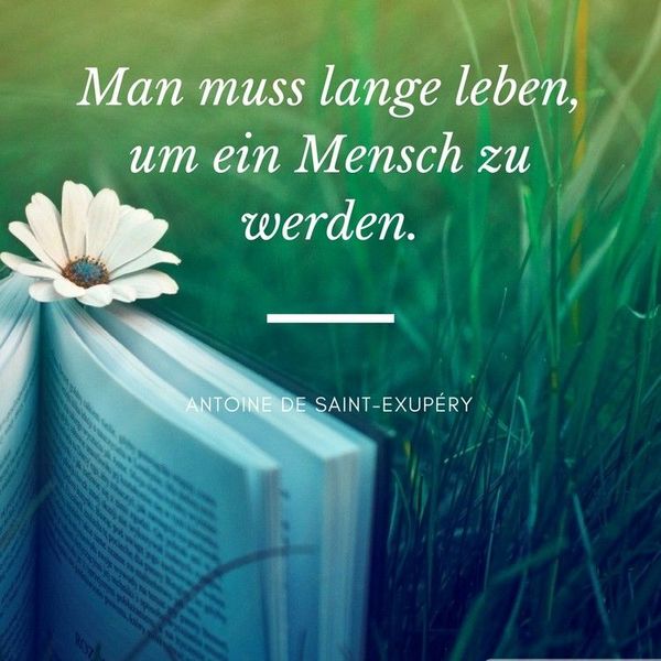 Schne Lebensweisheiten in Bildern 8