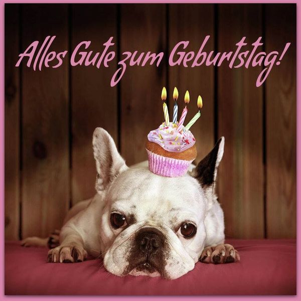 Geburtstagsglckwunschkarten 9