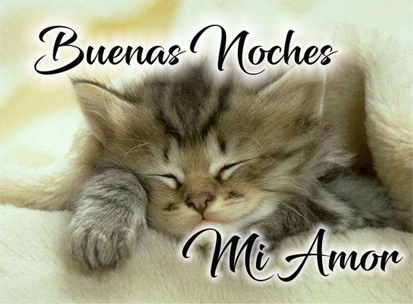 Imagenes de Buenos Días y Gifs - 2021 Imagenes de Buenos Días y Gifs - 2021