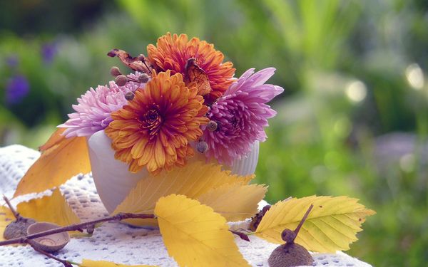 Imgenes bonitas de flores naturales 2