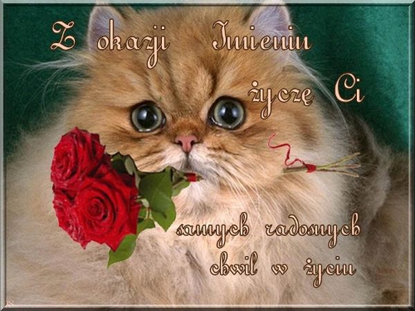 Obrazki na imieniny 7