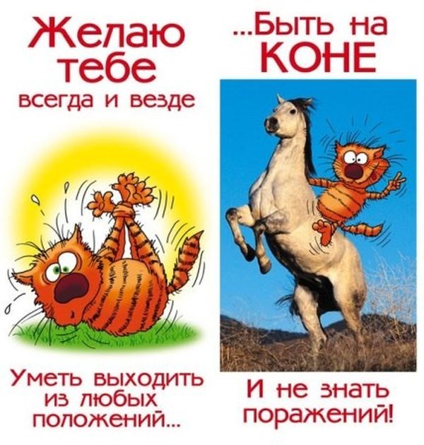 С днем рождения приколы с картинками 3