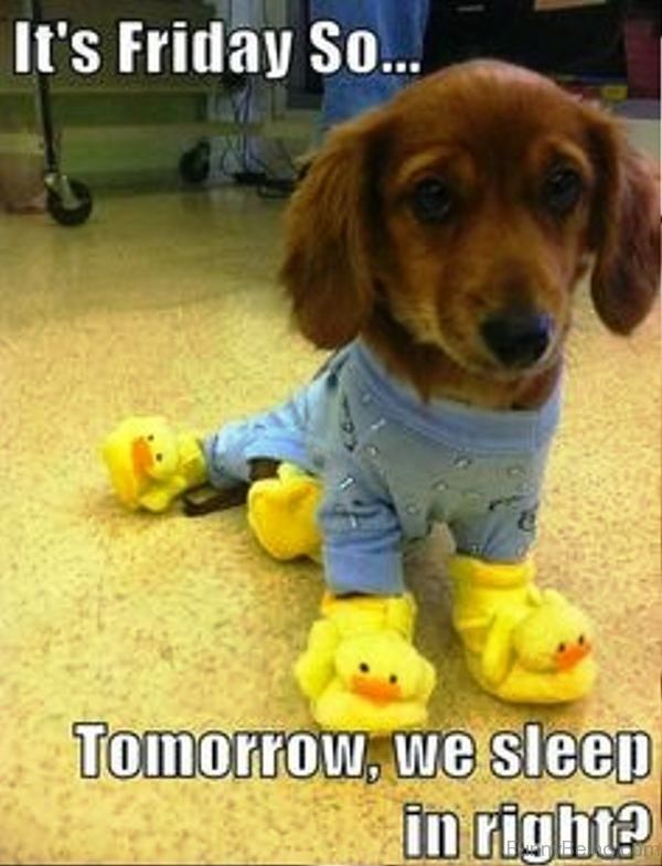It’s Friday So Tomorrow Meme