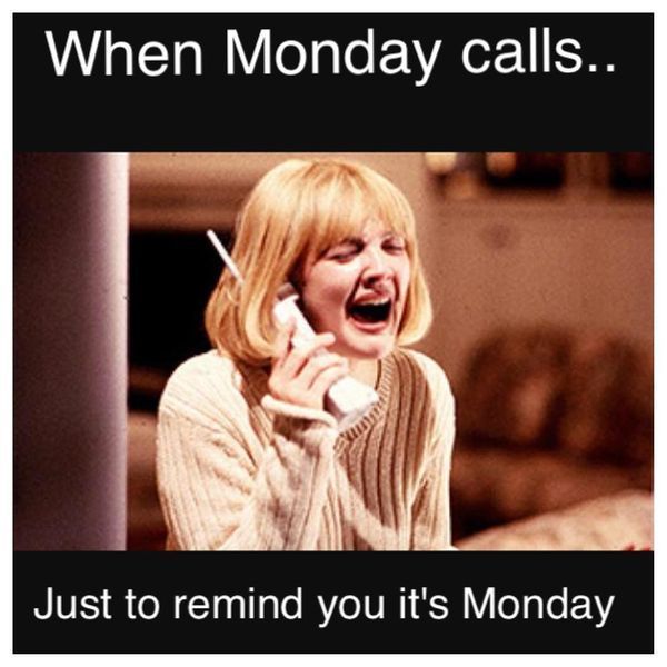 Monday calls meme