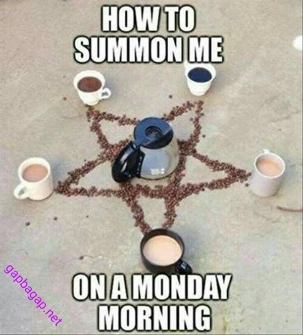 cofee star Monday meme