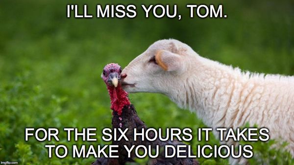 lamb miss you meme