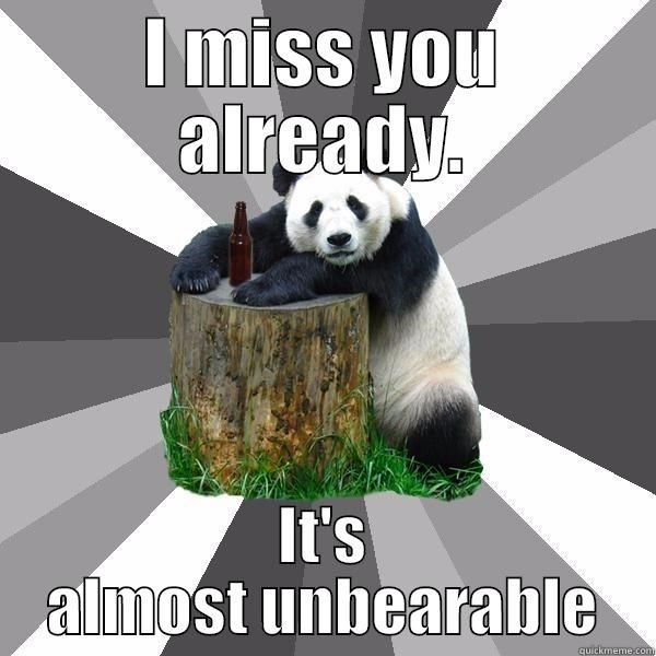 panda miss you meme