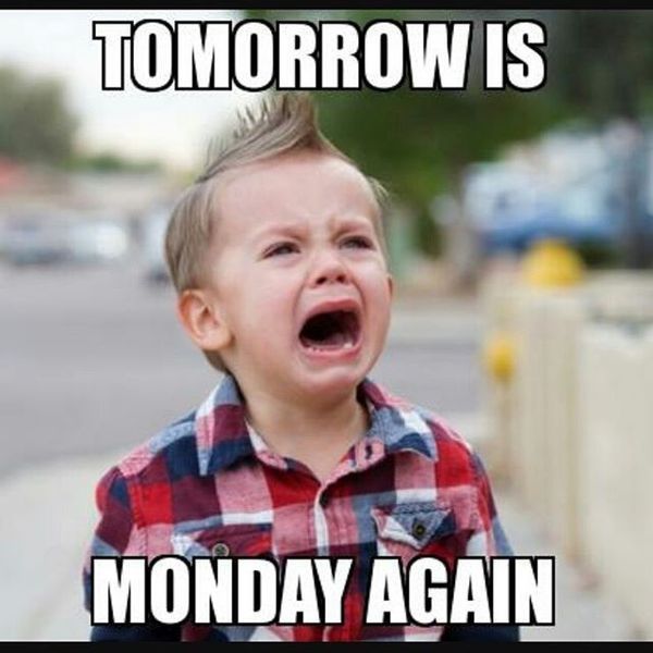 tomorrow is Monday meme