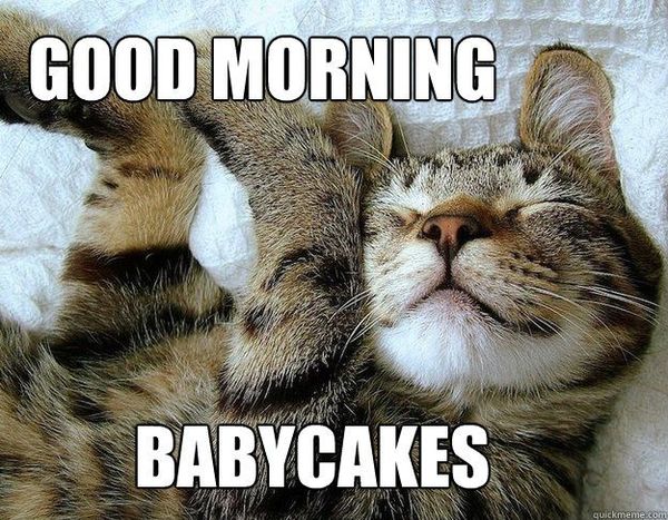 Good Morning Babycakes Meme