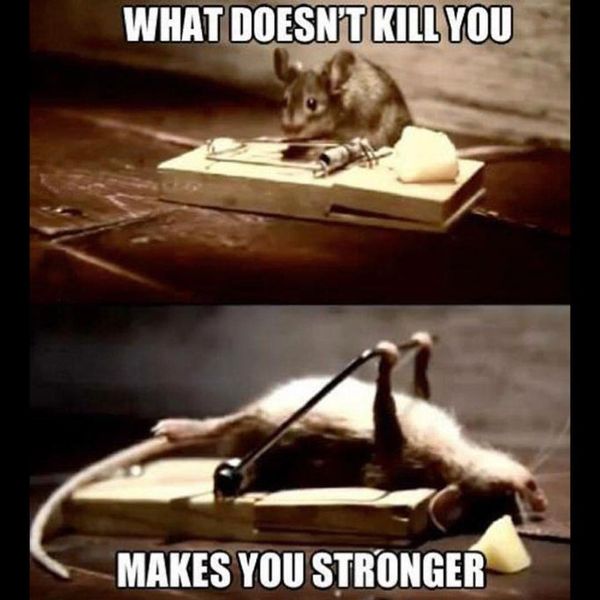 What Does Not Kill You Motivational Meme