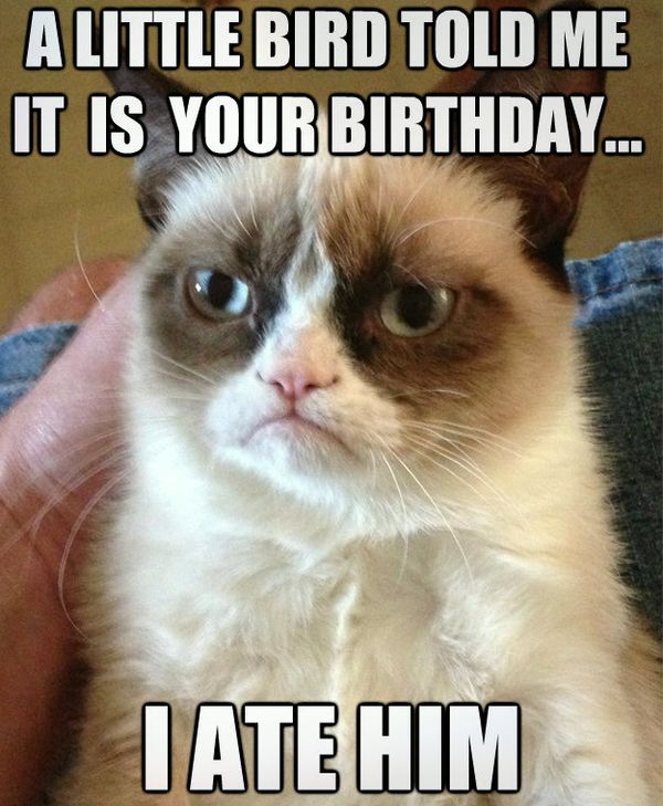 Happy Birthday Animal Meme