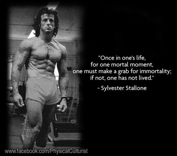 Motivational Quote by Sylvester Stallone