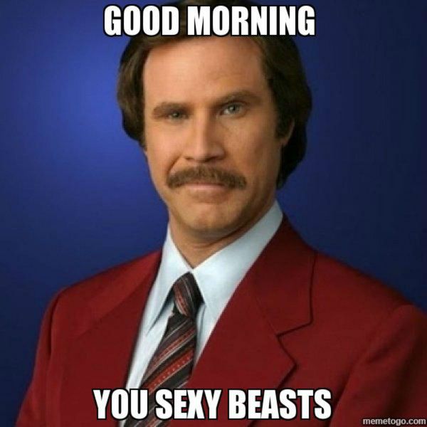 You Sexy Beasts Morning Meme