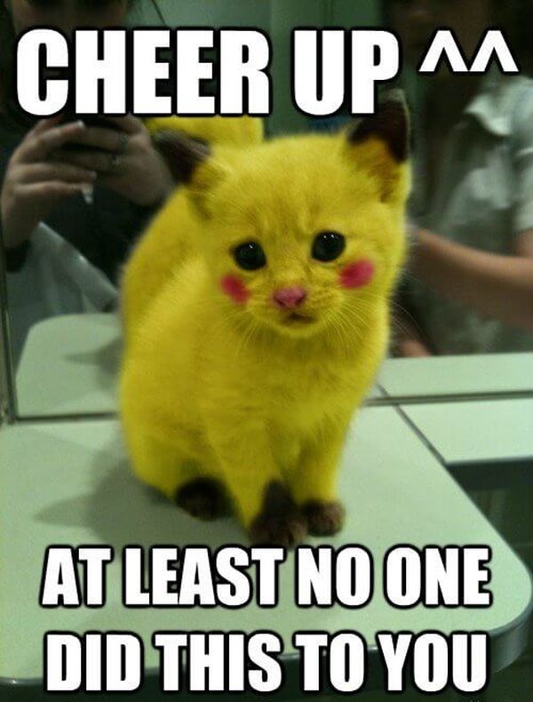 cheer up cat meme