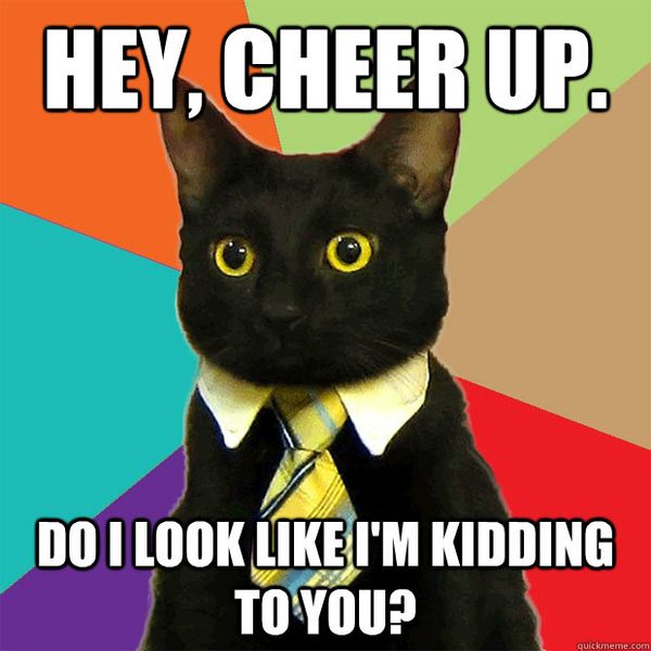 Glamorous cheer up cat meme