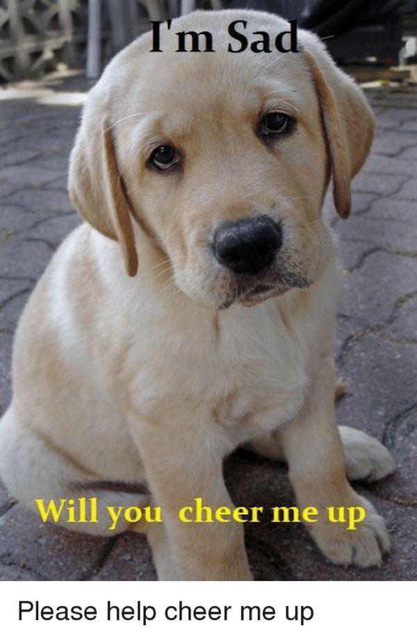 Funny Cheer Up Memes And Pictures