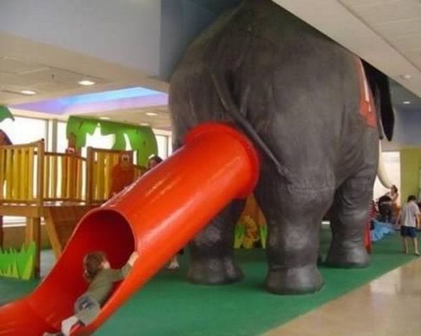 Hilarious Silly Inappropriate Pictures