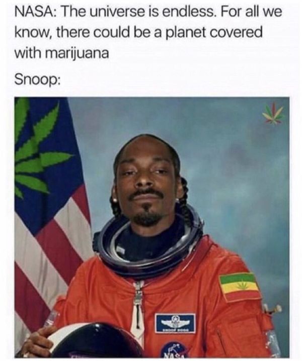 excelent hilarious weed memes