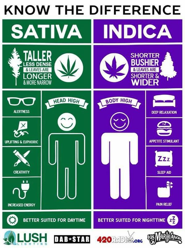 fantastic medical marijuana meme