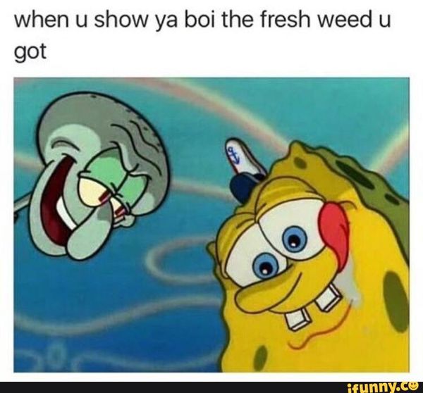 Spongebob Meme Weed