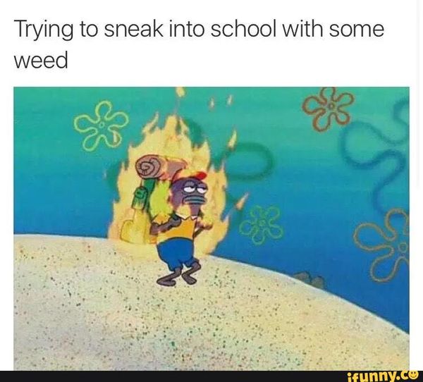 spongebob meme weed