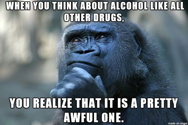 Hilarious Funny Drinking Memes for 2023