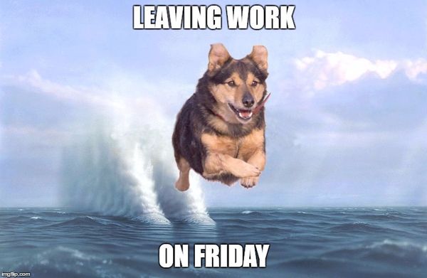 Leaving Work on Friday the Flying Dog..