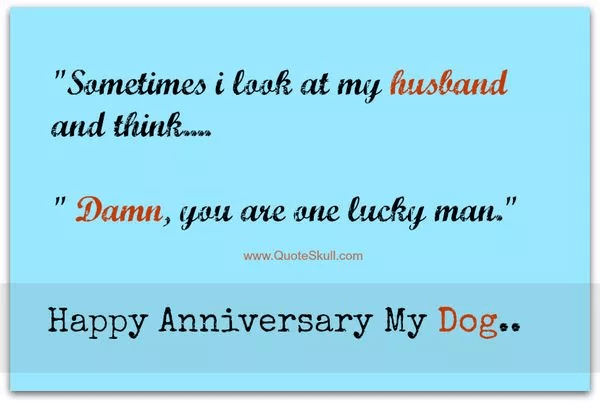 Happy Anniversary Memes for a Couple 8