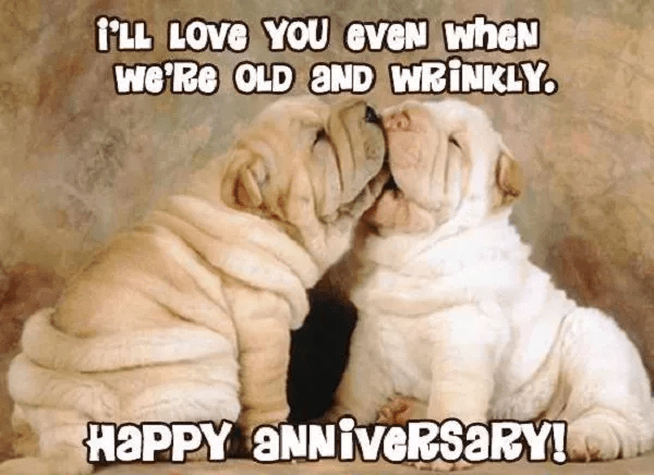 Happy Anniversary Memes - Funny Anniversary Images and Pictures in 2021