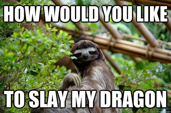 amazing dragon sloth meme