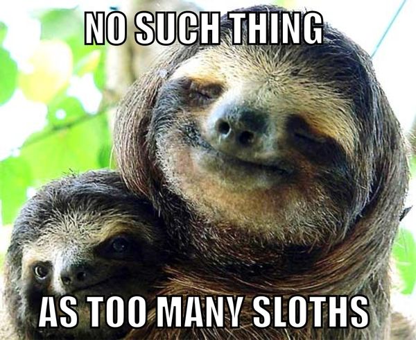 amazing sloth love meme