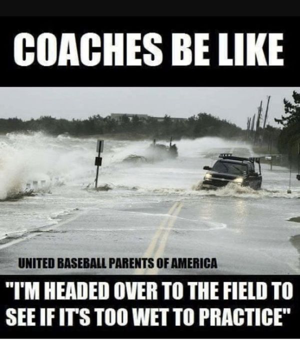 best baseball coach meme