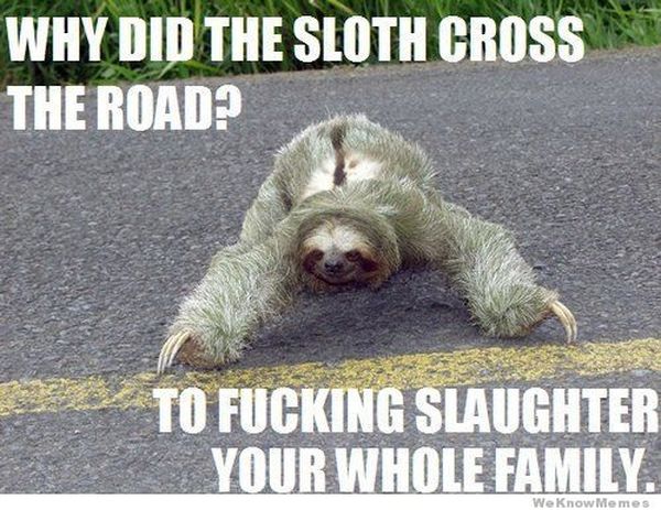 best common sloth jokes meme