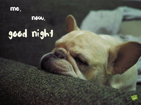 Good Night Memes - Funny GoodNight Memes For Him and Her