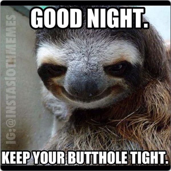 best funny perverted sloth memes