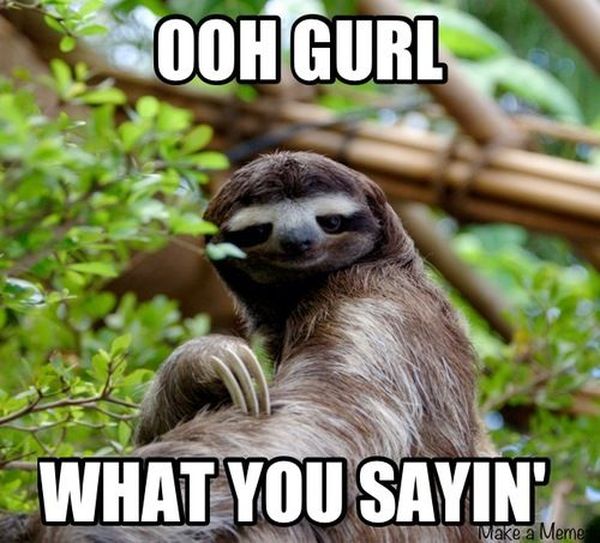 best sloth love meme