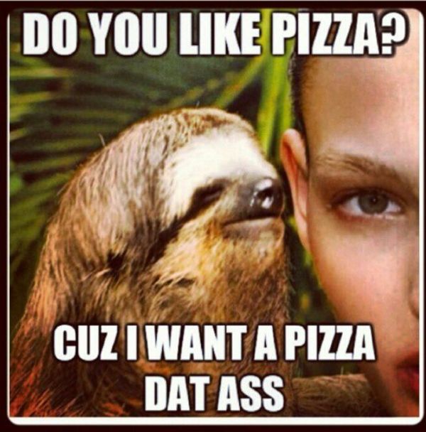 best true sloth jokes meme