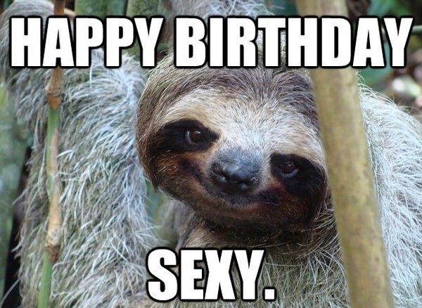 cool birthday sloth meme