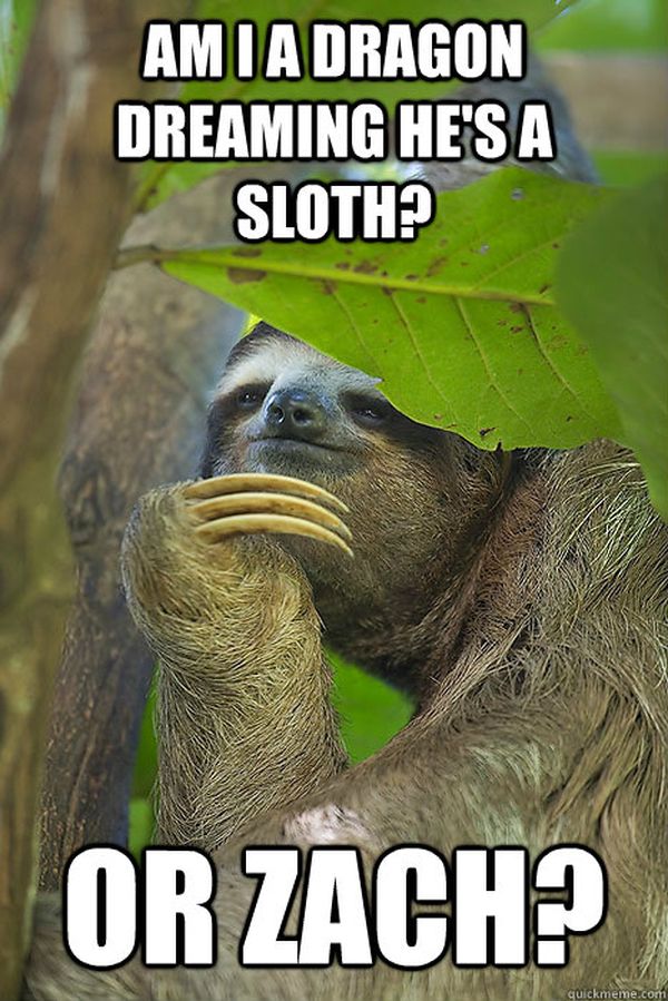cool dragon sloth meme