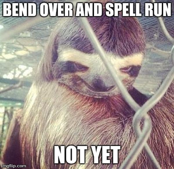 cool rapist sloth meme