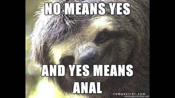 cool sexual sloth meme