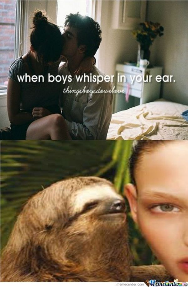 cool sloth whispering in ear meme