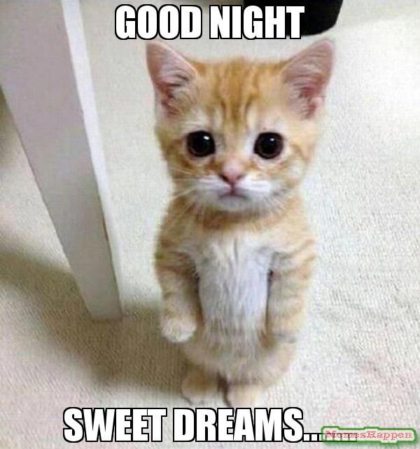 cute-sweet-dreams-meme.jpg