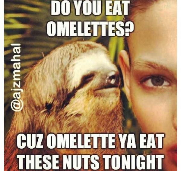 dirty sloth memes