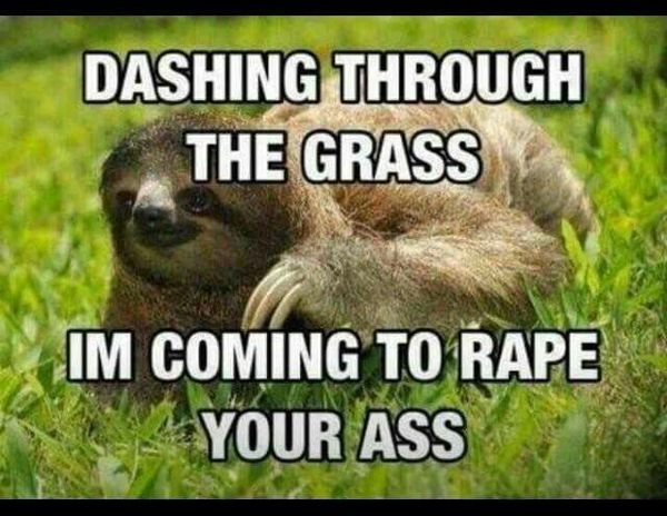 funny perverted sloth memes