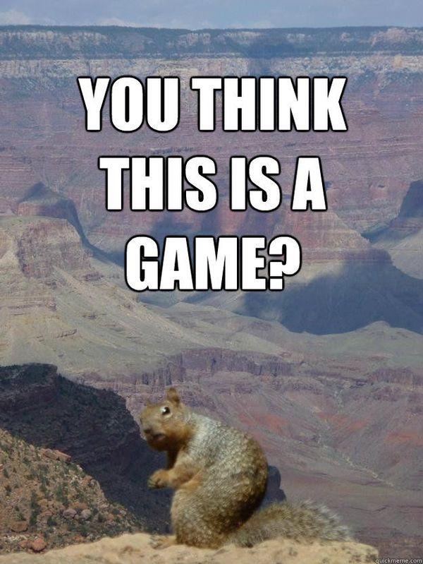 Squirrel Meme - Funny Squirrel Pictures