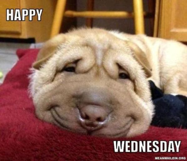 Wednesday Memes - Funny Happy Wednesday Images