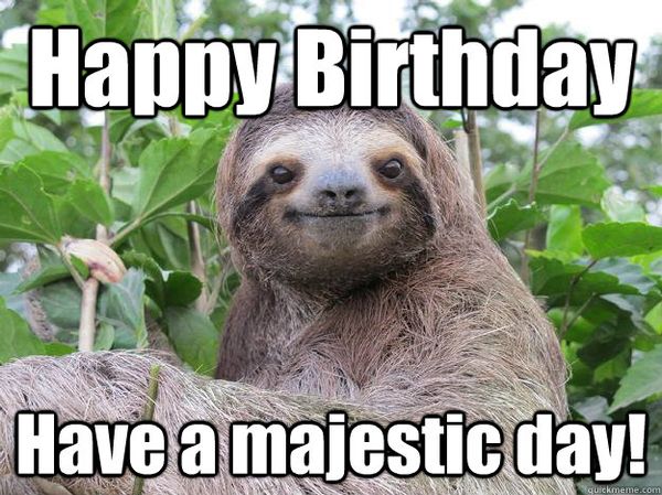 greate birthday sloth meme